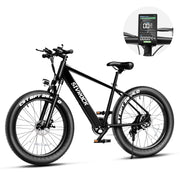 1000W Fat Tire Electric Bike