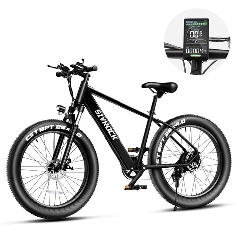 1000W Fat Tire Electric Bike