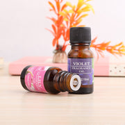 Aromatherapy Oil Humidifier