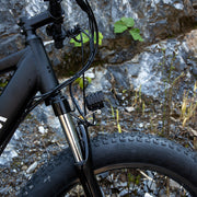 1000W Fat Tire Electric Bike