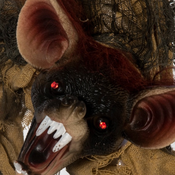 Halloween Decoration