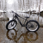 1000W Fat Tire Electric Bike