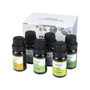 Essential Oils Set (6-Pack)