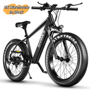1000W Fat Tire Electric Bike