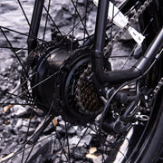 1000W Fat Tire Electric Bike