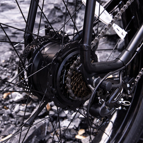 1000W Fat Tire Electric Bike