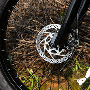 1000W Fat Tire Electric Bike