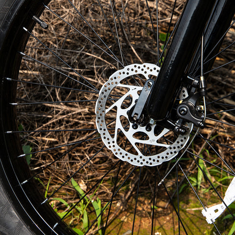 1000W Fat Tire Electric Bike