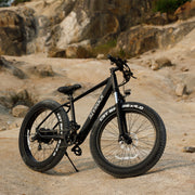 1000W Fat Tire Electric Bike