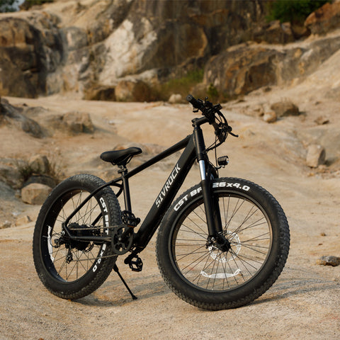 1000W Fat Tire Electric Bike