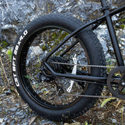 1000W Fat Tire Electric Bike
